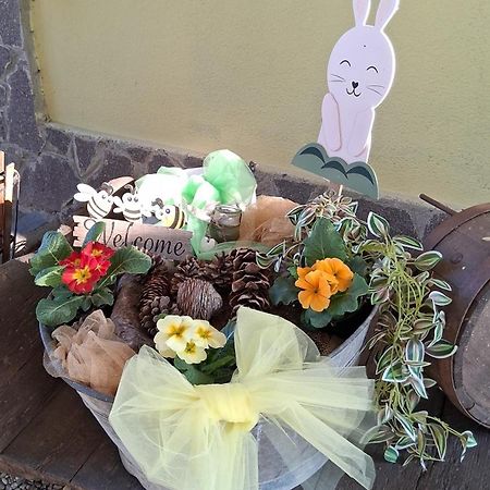 B&B Barbettini Bereguardo Bagian luar foto
